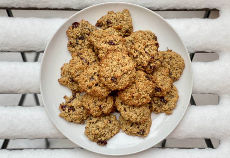 Gluten Free Oatmeal Cookie